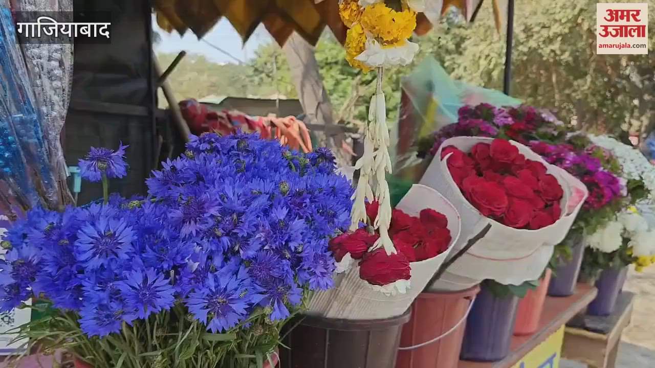 VIDEO : Preparations for Valentine Day week begin in Ghaziabad