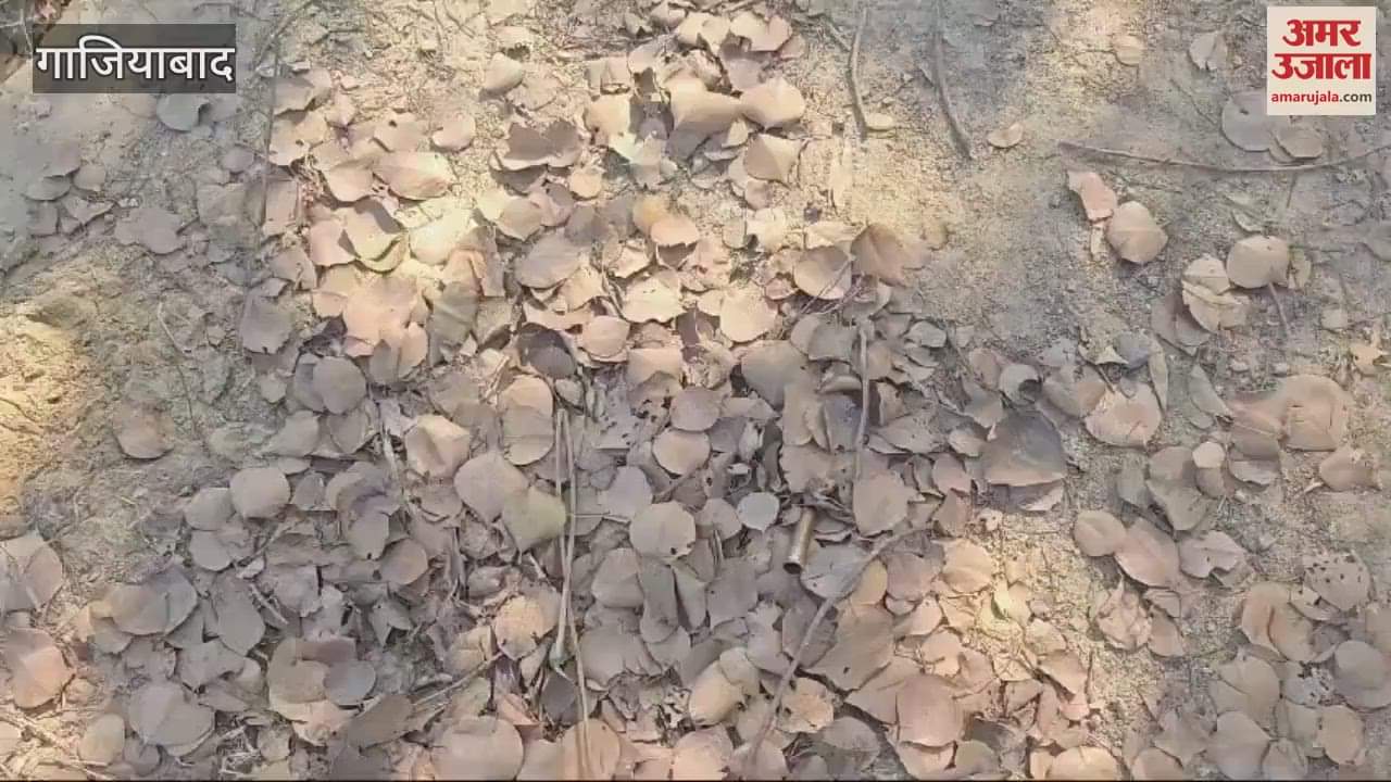 VIDEO : Gangster opened fire on police team in Ghaziabad