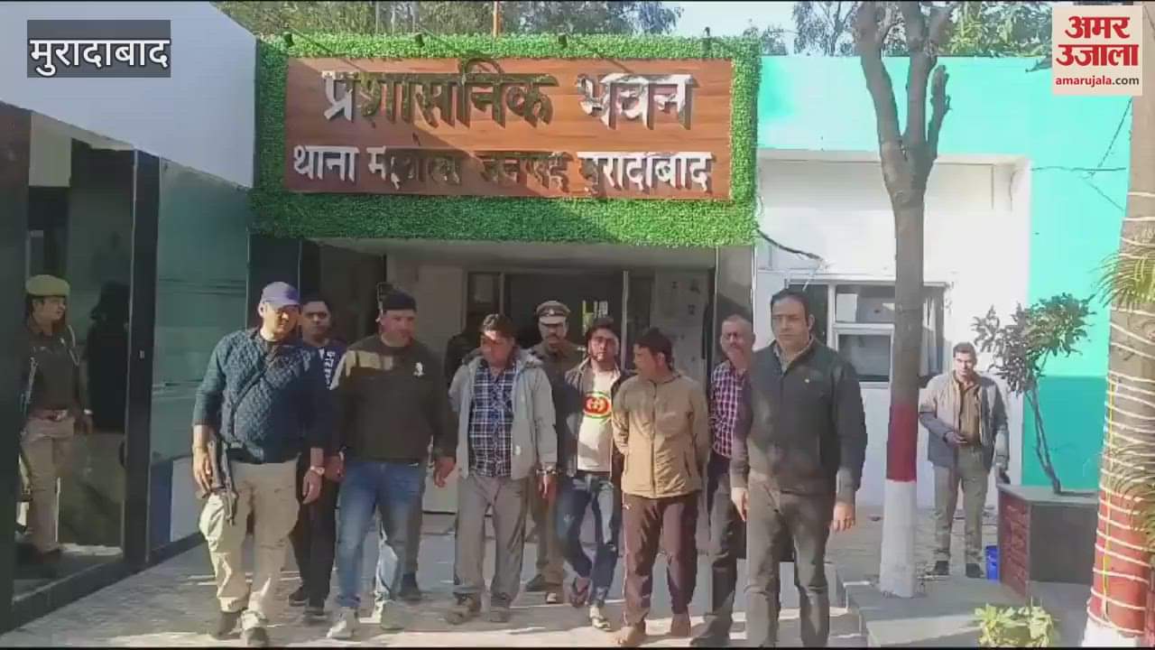 VIDEO : Ganja smuggled from Orissa to Pitalnagari, three arrested including the transporter, STF took action