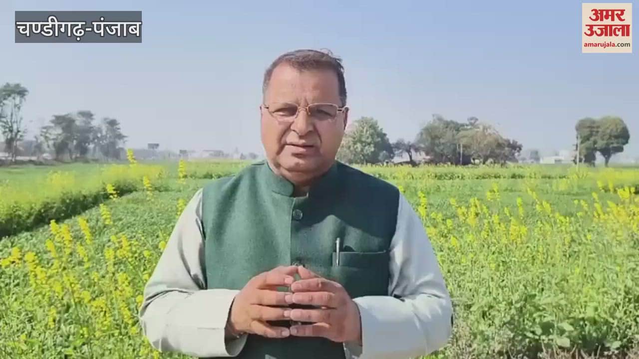 VIDEO : AAP leader Neel Garg surrounded the Modi government in the matter of deportation of 104 Indians