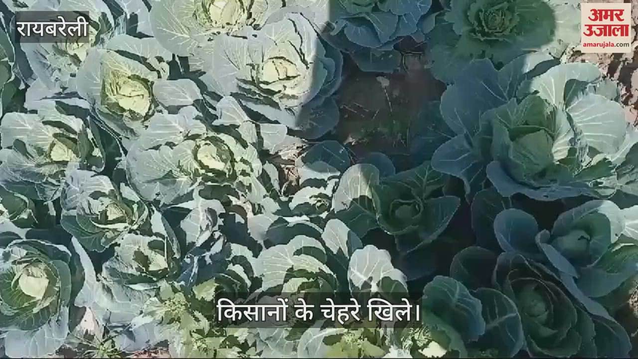 VIDEO : Raebareli: पछुवा हवाएं चलने से गिरा तापमान, किसानों के चेहरे खिले