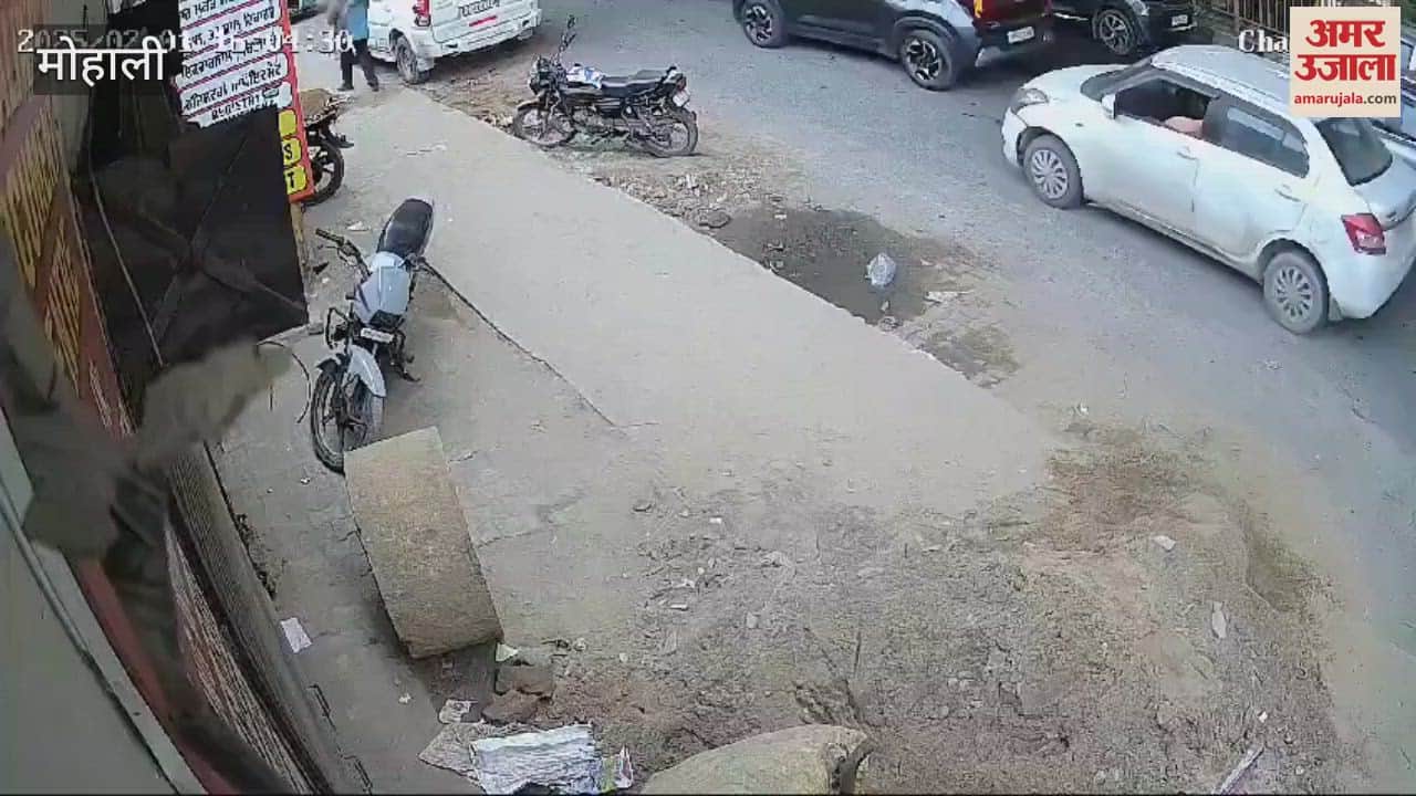 VIDEO : Two bike riders fell 30 feet below the flyover in Mohali, watch the video