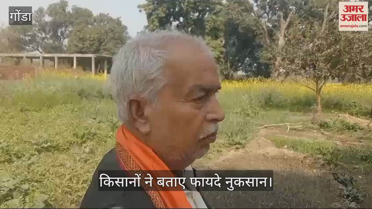 VIDEO : Gonda: धूप से गेहूं की फसल को नुकसान और सरसो को है फायदा