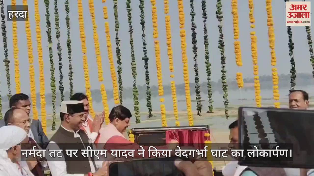 MP On Narmada Jayanti CM Mohan Yadav said Mother Narmada stream is conscious one is blessed by seeing it