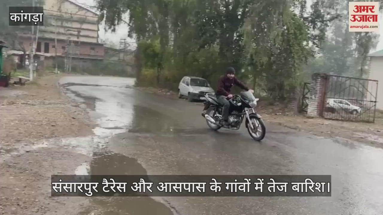 VIDEO : Heavy rain in Sansarpur Terrace and surrounding villages