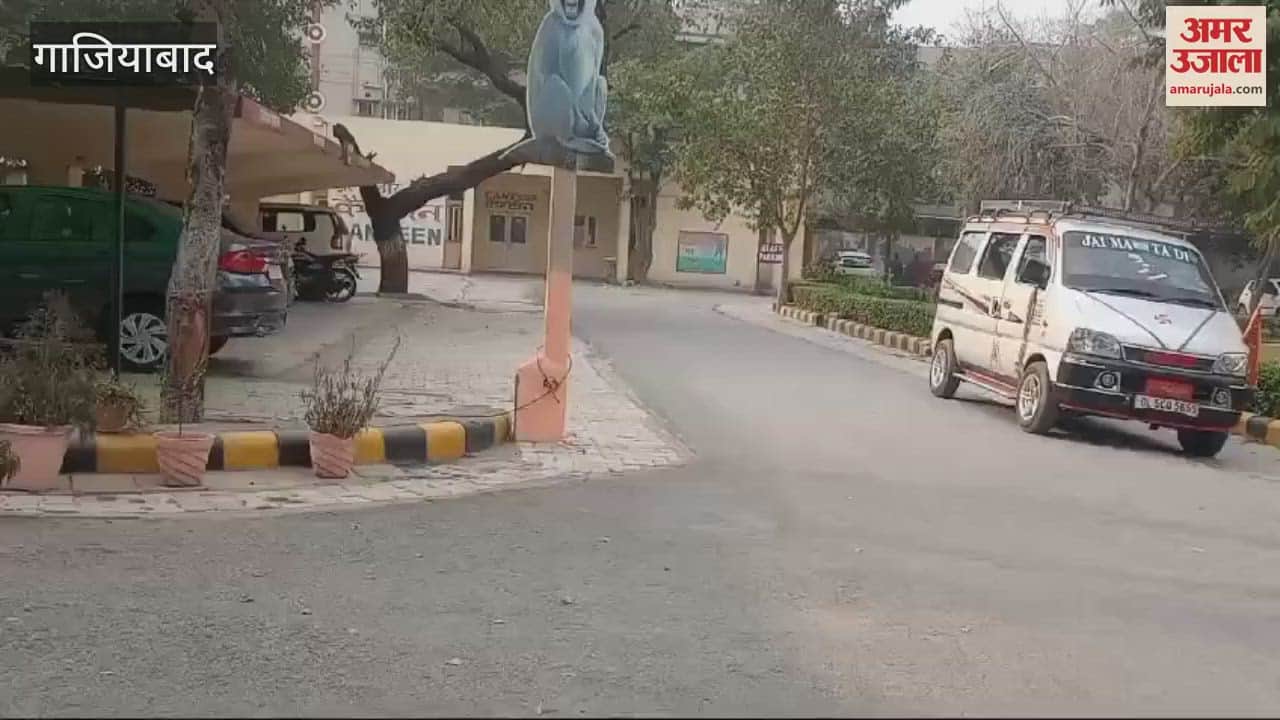 VIDEO : Cutouts of langur installed in ESIC hospital in Ghaziabad