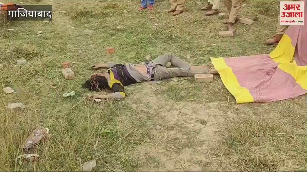 VIDEO : man killed by hitting him with a brick in Loni