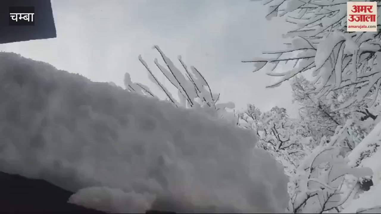 VIDEO : Gardeners got relief from snowfall in Khani Bharmour