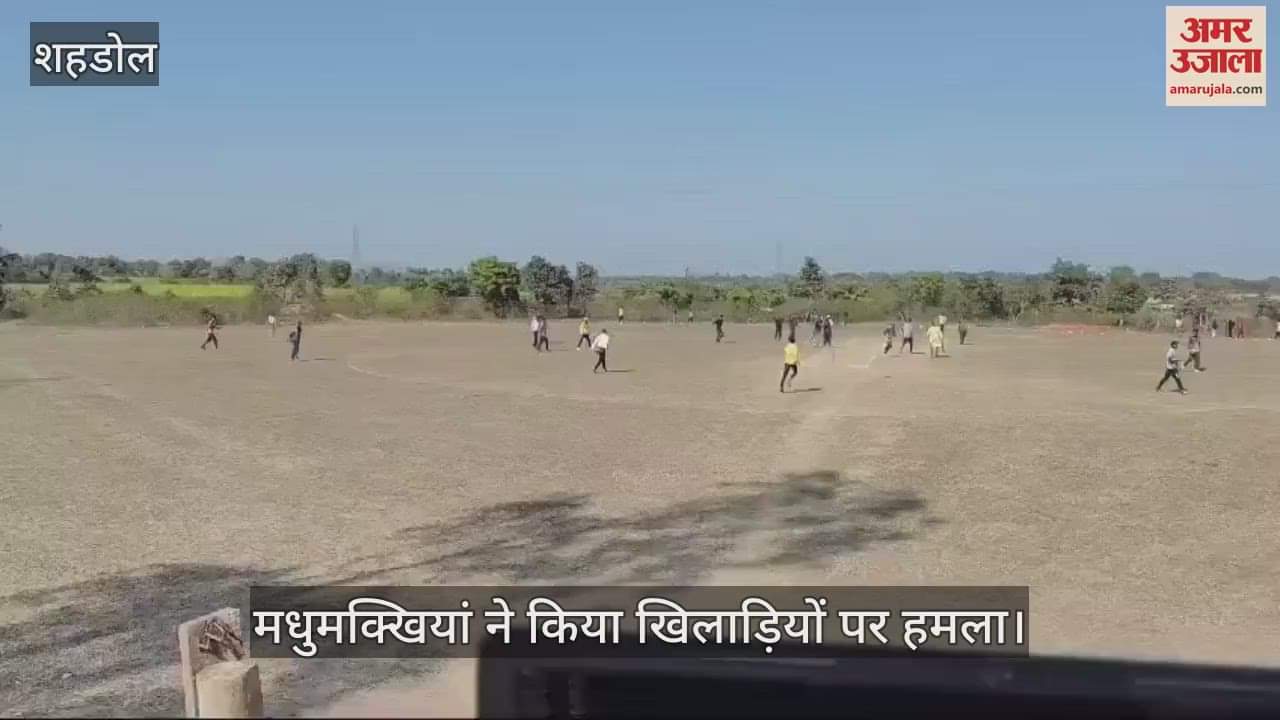 Stampede broke out during the cricket tournament, some players saved their lives by lying down in the field
