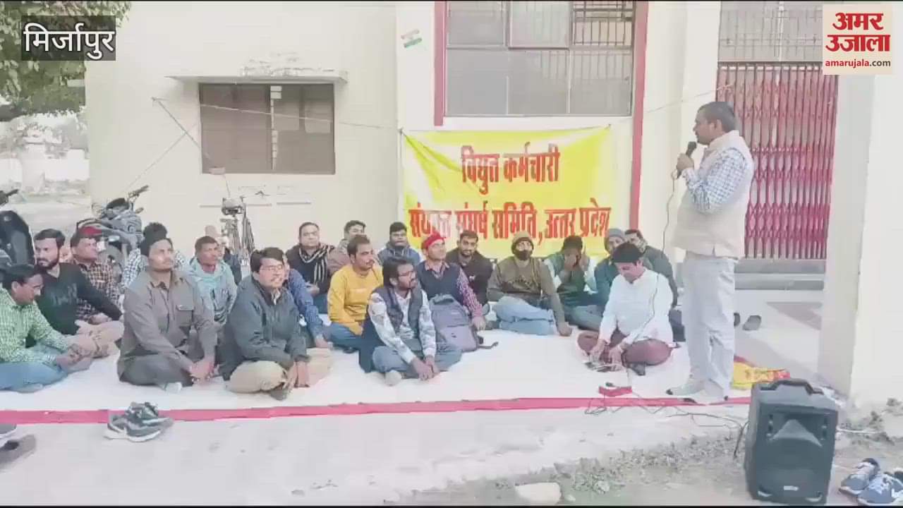 VIDEO : removed contract workers taken back in mirzapur electricity workers on strike against privatization