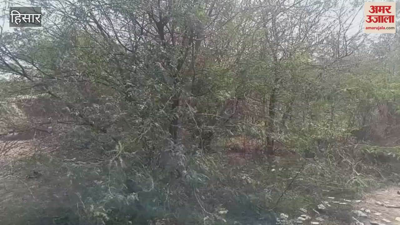 VIDEO : large number of contraceptive condoms and pregnancy test kits were thrown near the wall of Hisar airport