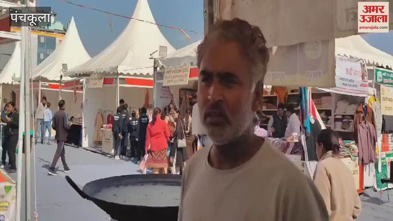 VIDEO : People became crazy about the mushroom pakoras made with desi ghee at the Khadi Festival in Panchkula