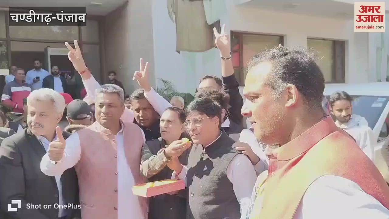 VIDEO : Celebrations in Punjab on BJP's victory in Delhi