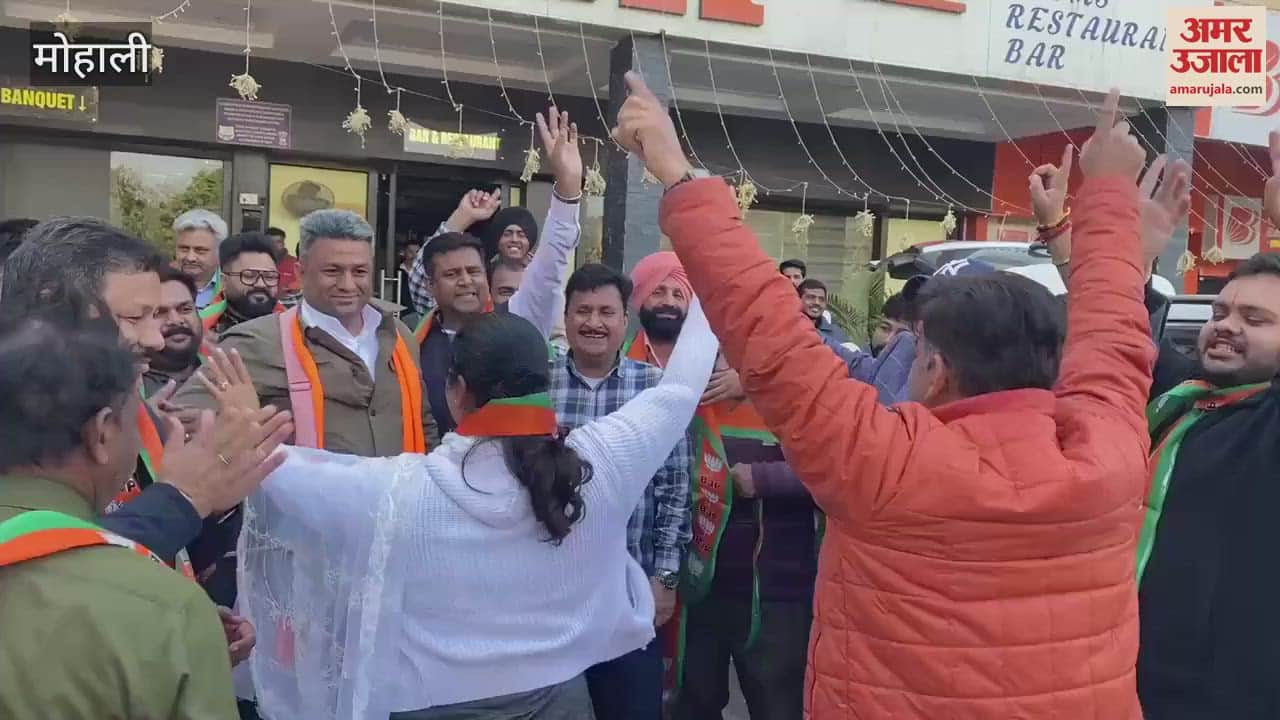 VIDEO : BJP celebrated victory in Mohali