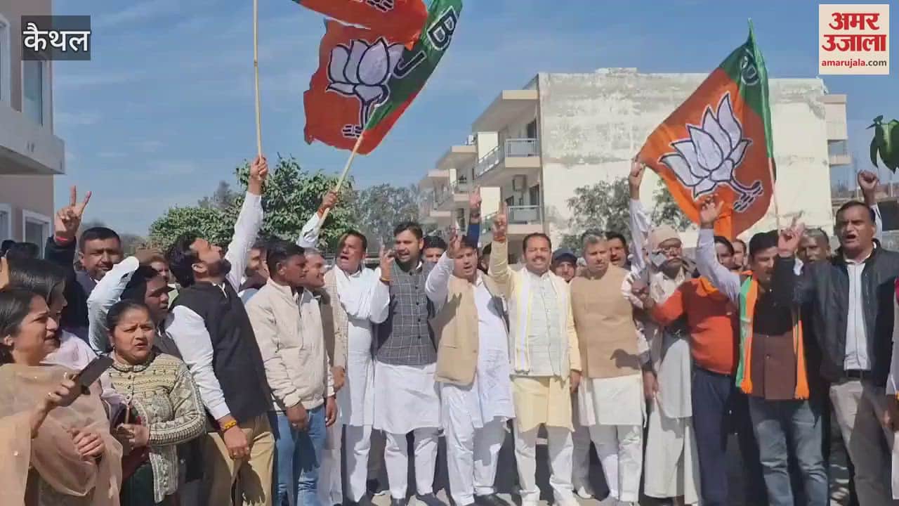VIDEO : BJP's spectacular victory in Delhi elections, workers distributed victory jalebi in Kaithal