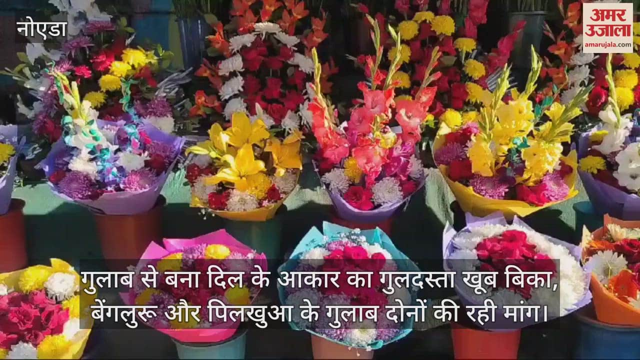 VIDEO : Roses worth more than one crore sold on Rose Day