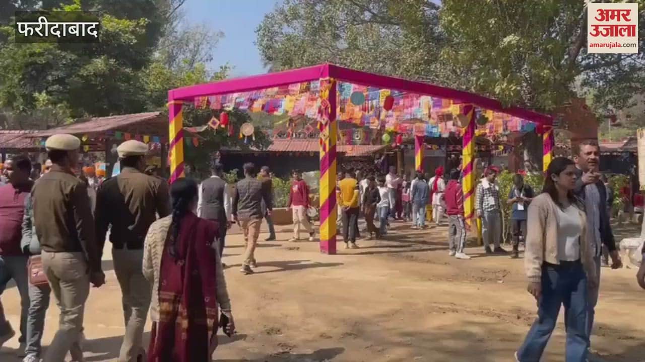 VIDEO : Shops decorated in Surajkund fair