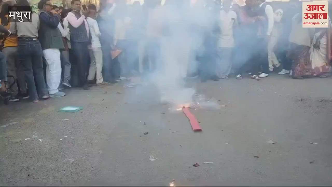 VIDEO : Workers celebrated BJP victory in Delhi policeman extinguished the fireworks