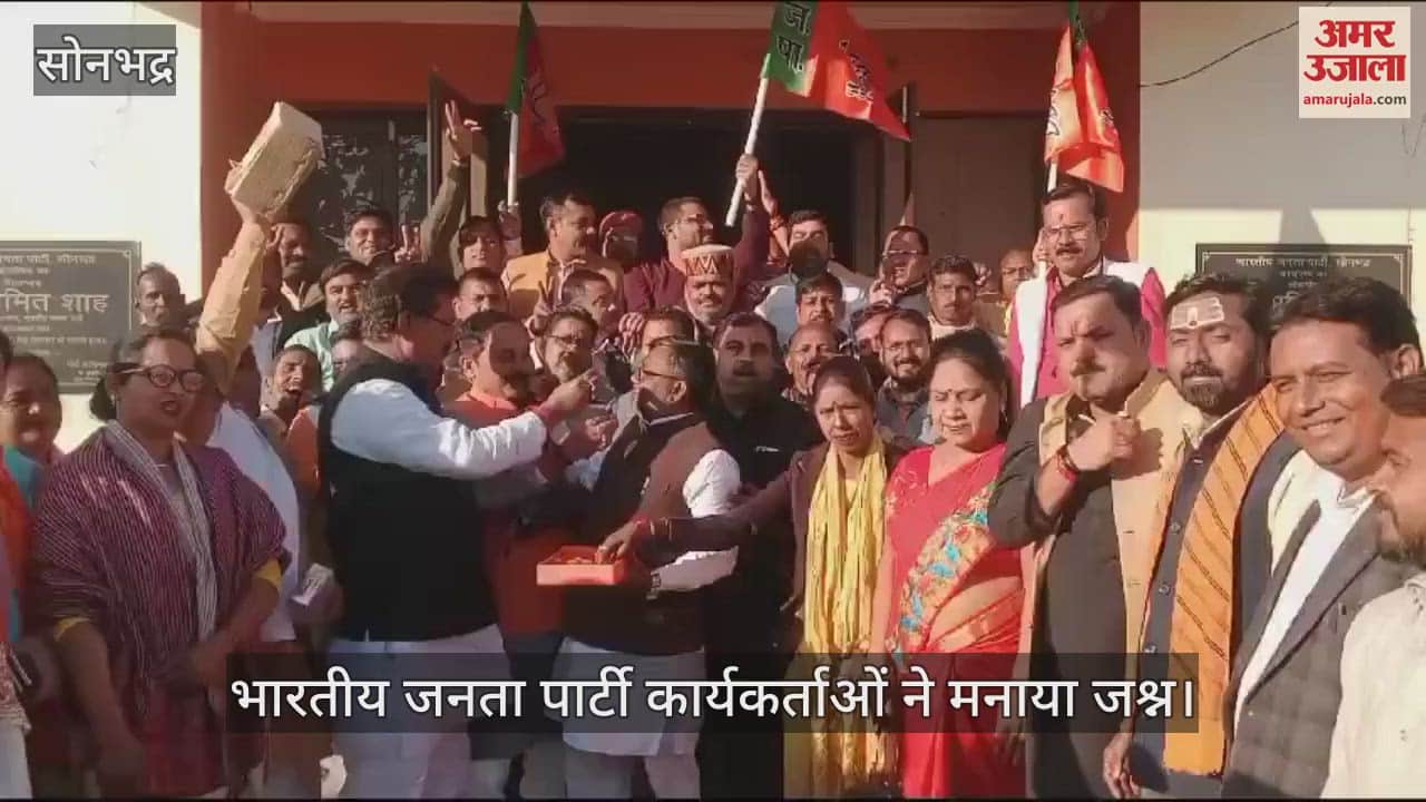 VIDEO : workers celebrated BJP's landslide victory in Delhi