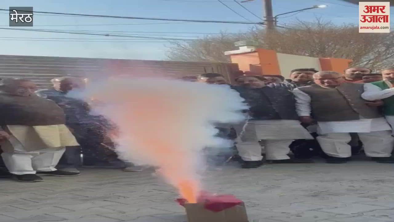 VIDEO : Meerut: BJP workers set off fireworks on Delhi victory