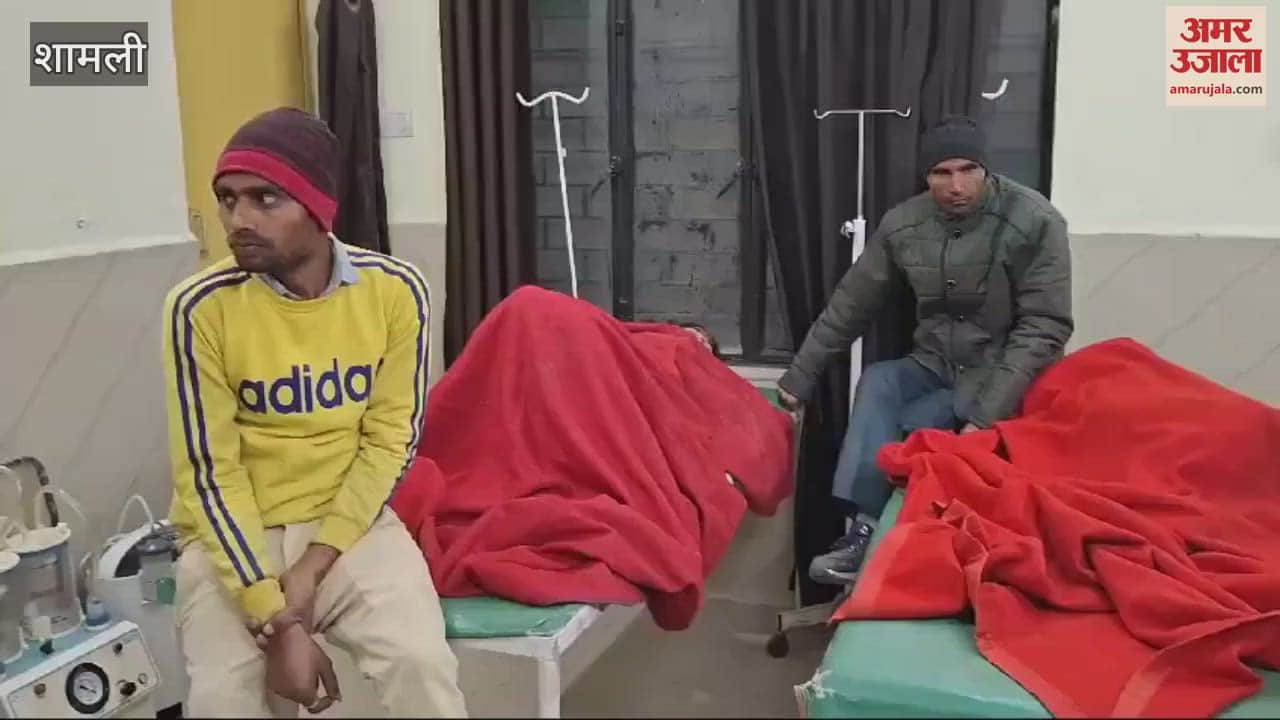 VIDEO : Shamli: Bus full of wedding guests and truck collide, 11 injured