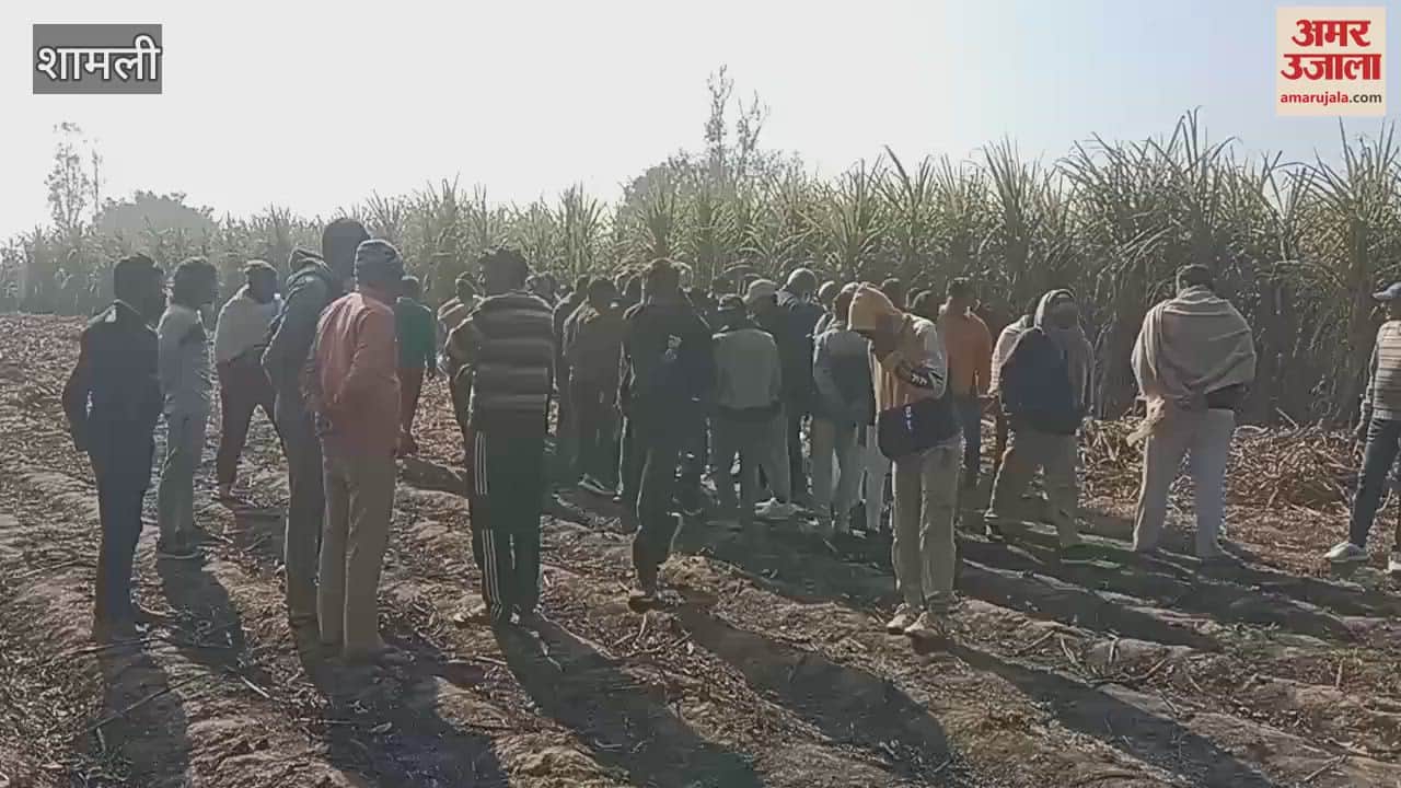 VIDEO : Shamli: Youth dies under suspicious circumstances, dead body found lying in field