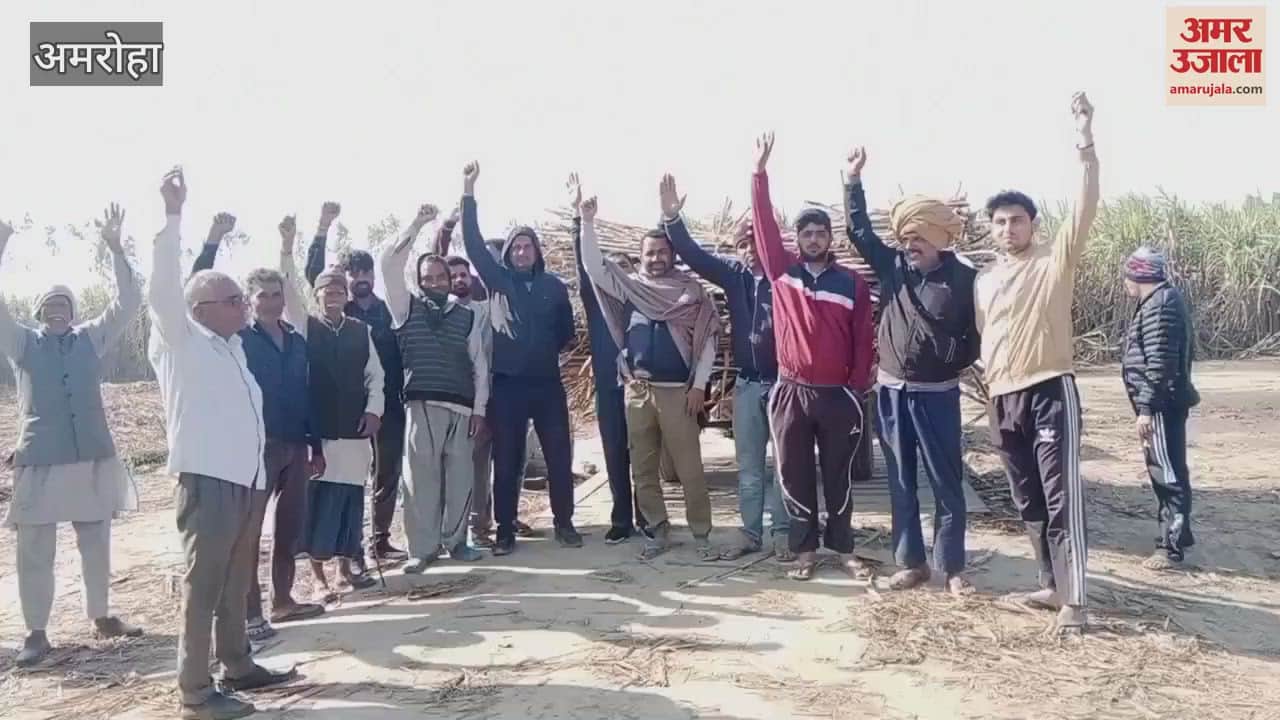 VIDEO : Allegation of short weighing at sugarcane purchasing center of Naugawan Sadat, farmers created ruckus