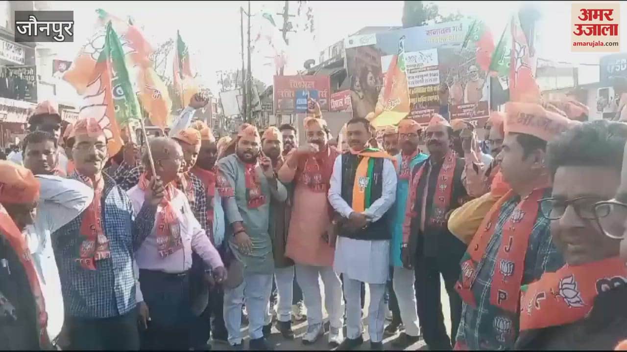 VIDEO : Celebration of victory in Delhi assembly elections BJP workers distributed sweets