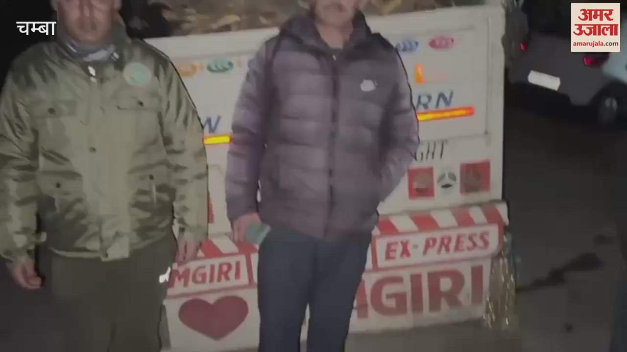 VIDEO : Forest department team caught a pickup full of cash near Tony Mode chamba