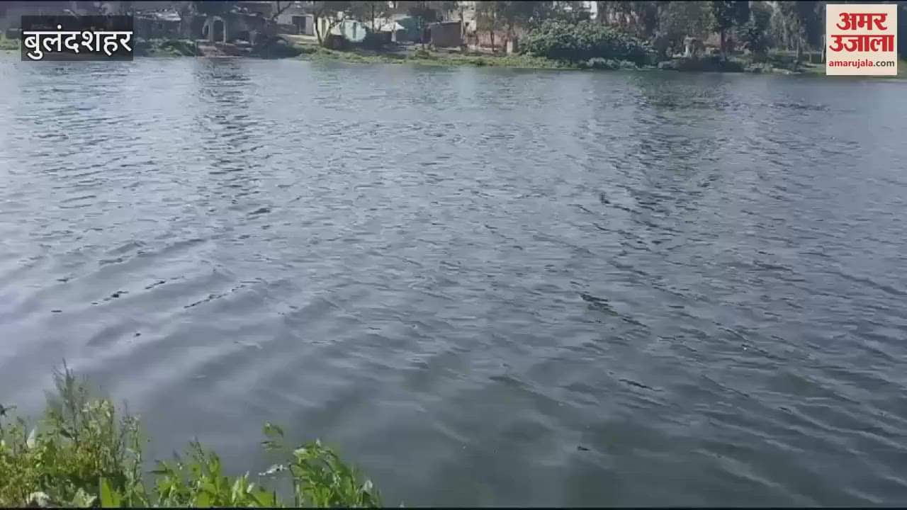 VIDEO : Child dies after falling into pond in Bulandshahr