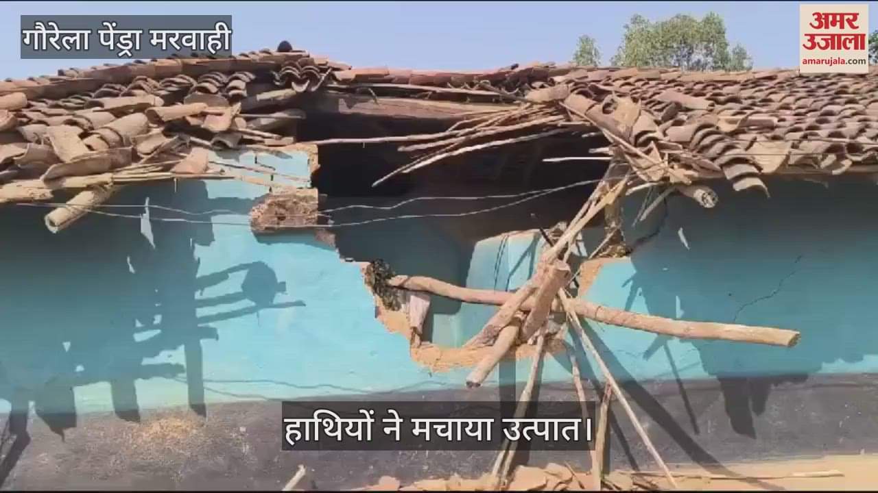 VIDEO : A group of elephants entered Gaurela Pendra Marwahi and created havoc in border villages