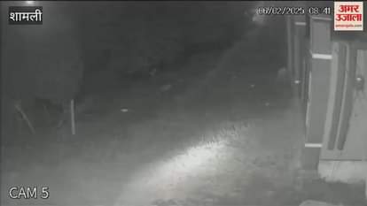 VIDEO : Shamli: Indiscriminate firing at BJP leader's house