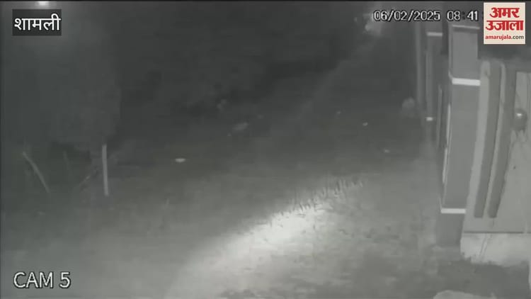 :shamli: भाजपा नेता के घर पर अंधाधुंध फायरिंग - Video : Shamli: Indiscriminate Firing At Bjp Leader's House - Amar Ujala Hindi News Live