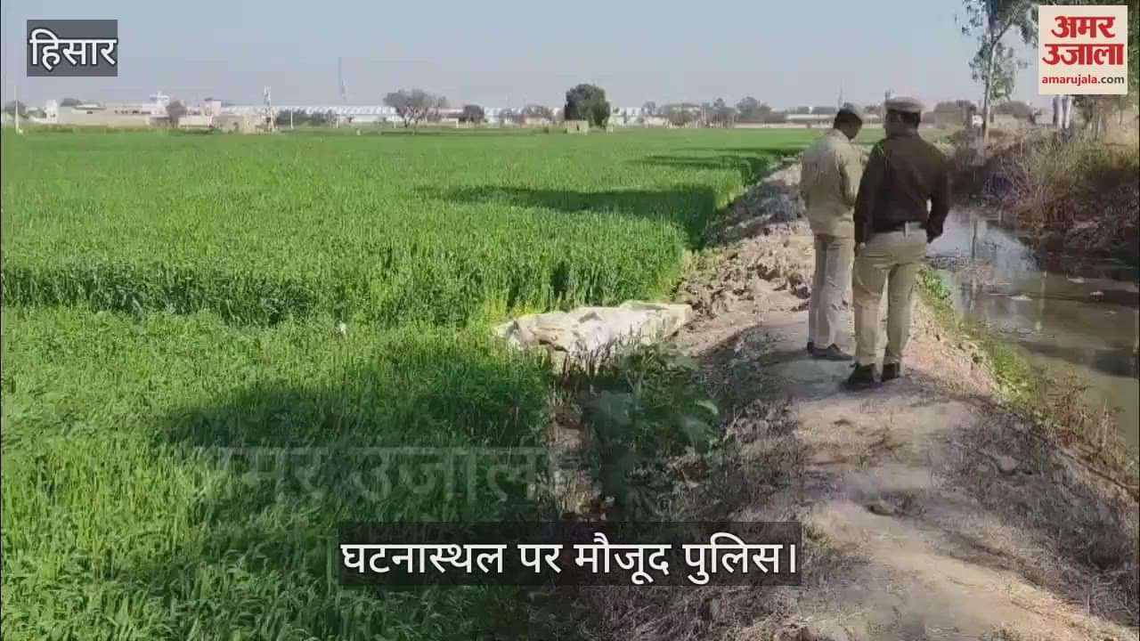VIDEO : गांव मोठ के खेतों में मिले प्रेमी जोड़े के शव