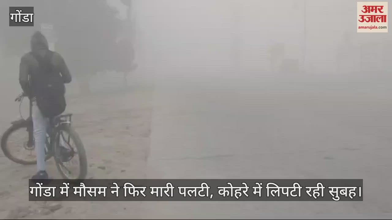 VIDEO : गोंडा में मौसम ने फिर मारी पलटी, कोहरे में लिपटी रही सुबह