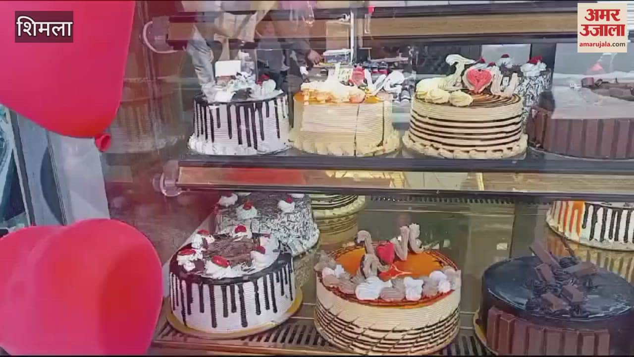 VIDEO : On Chocolate Day chocolates in heart shaped packaging became the first choice of the youth in the market cakes sold in large numbers