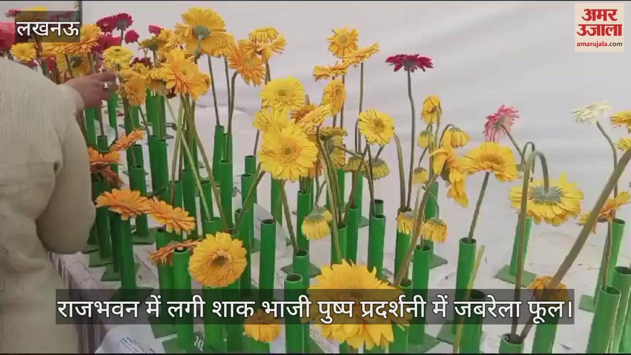 VIDEO : राजभवन में लगी शाक भाजी पुष्प प्रदर्शनी में जबरेला फूल