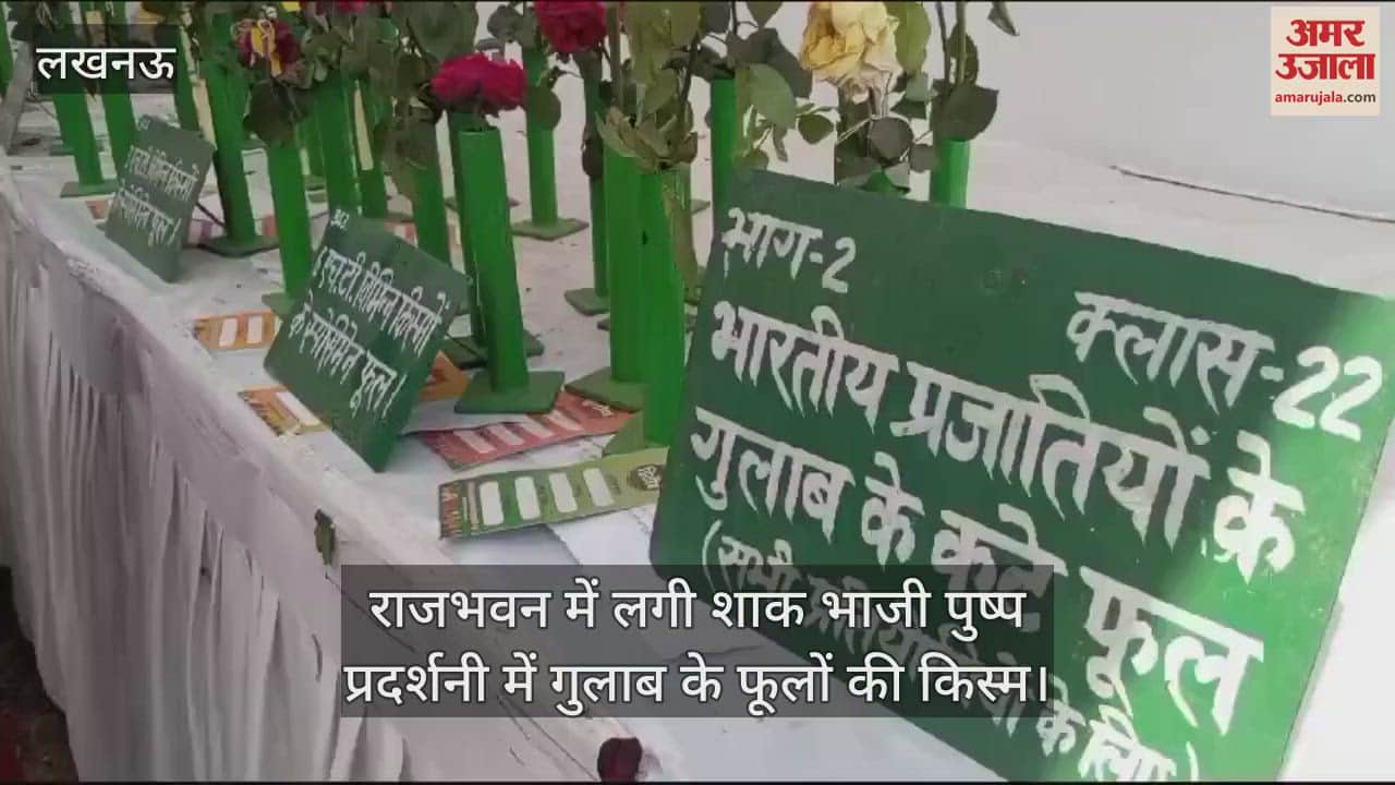 VIDEO : राजभवन में लगी शाक भाजी पुष्प प्रदर्शनी में गुलाब के फूलों की किस्म