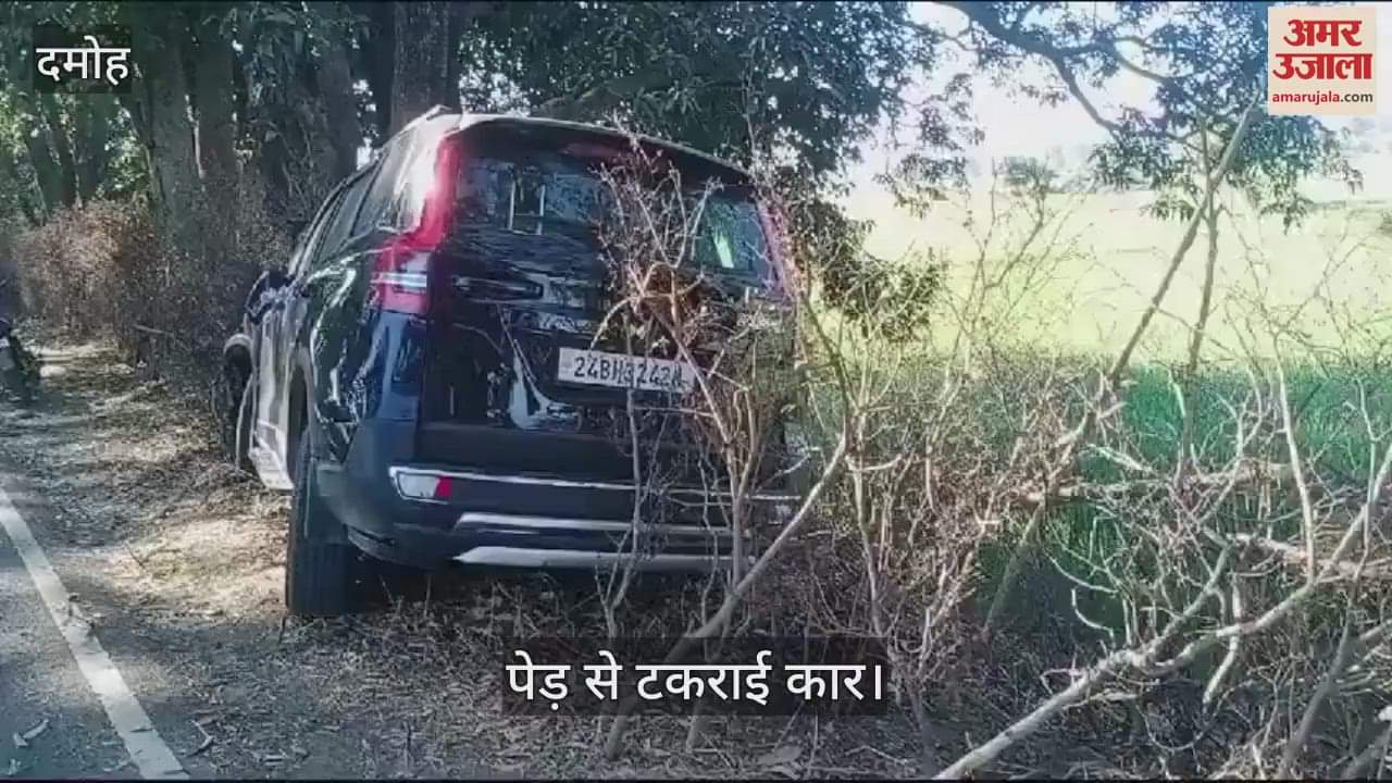 Damoh News: Driver fell asleep, car collided with a tree, girl died in the accident, three injured