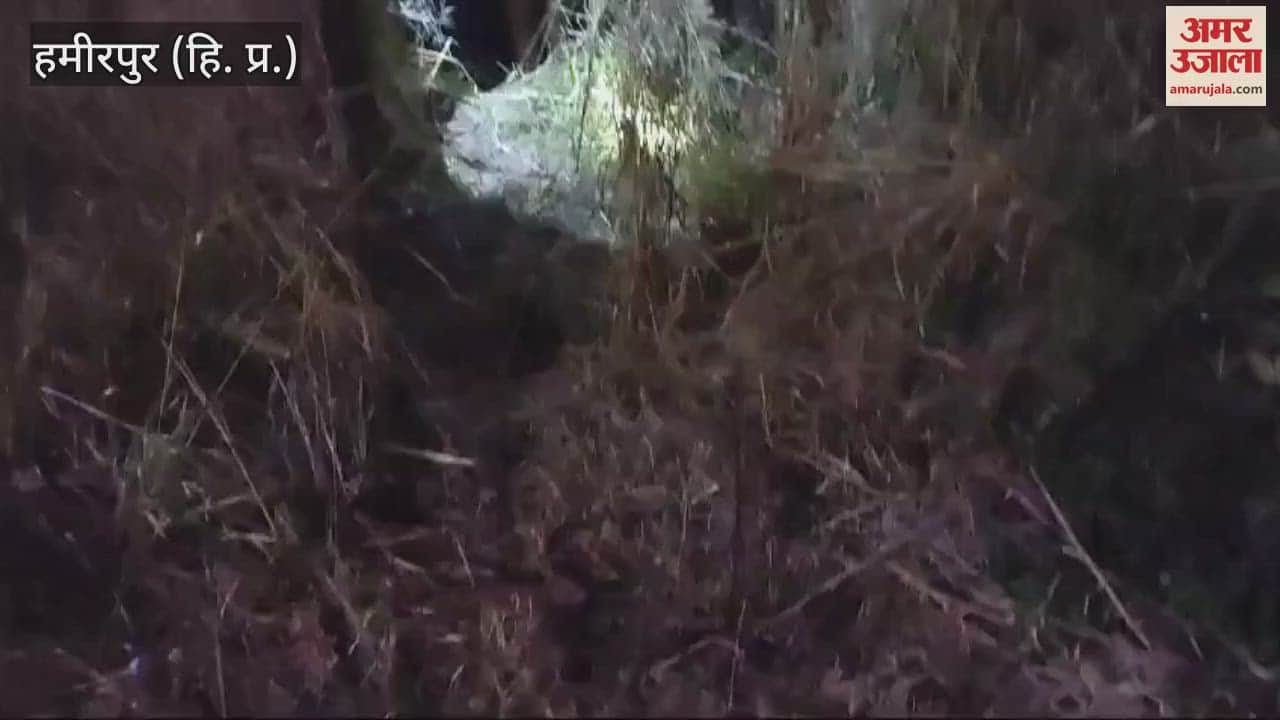 VIDEO : Video of a young man swallowing a packet of chitta goes viral