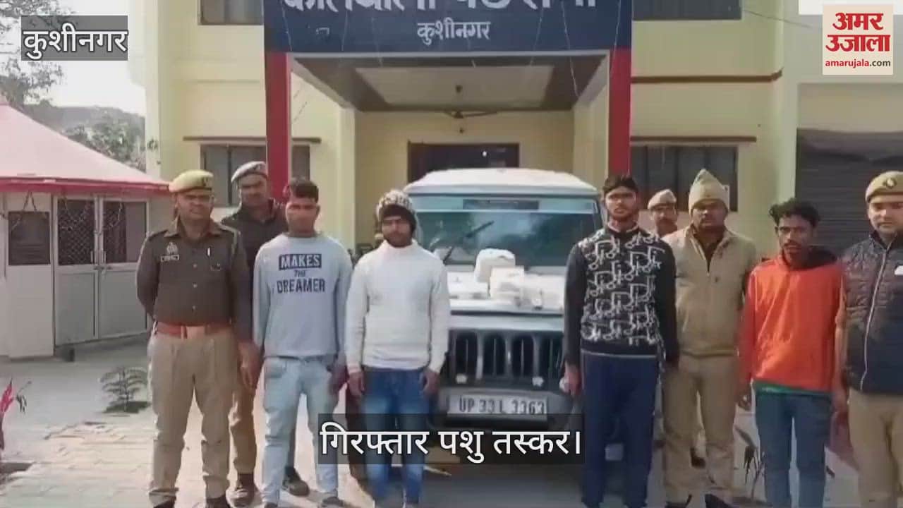 VIDEO : Four cattle smugglers arrested, were taking cattle to Bihar