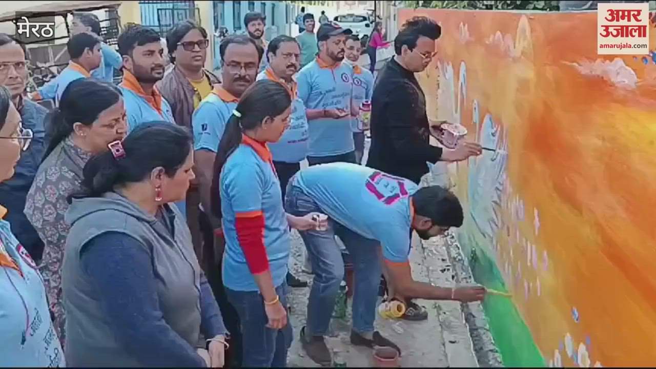 VIDEO : Meerut: Made people aware by painting on walls