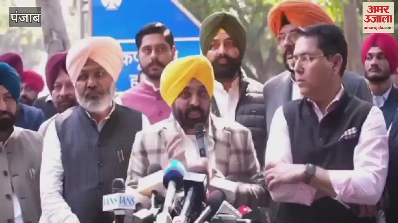 VIDEO : Punjab CM Bhagwant Mann said, there is no dissatisfaction among AAP MLAs