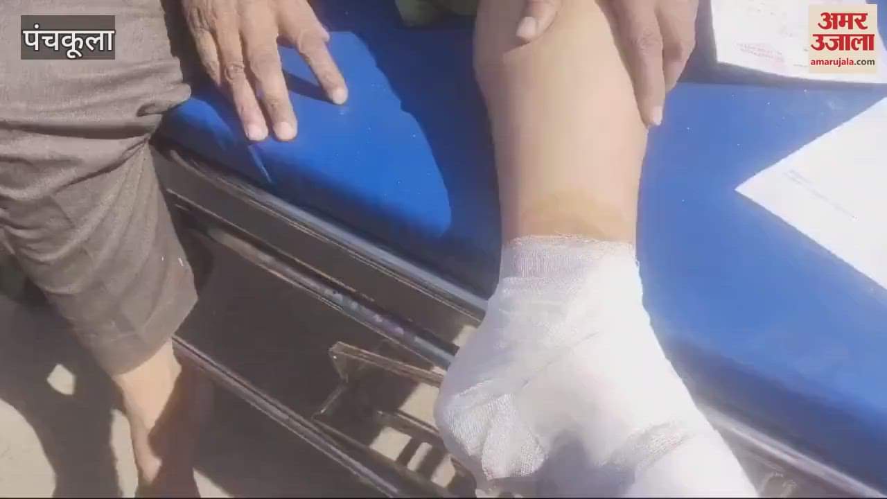 VIDEO : पंचकूला में तेज रफ्तार वाहन की टक्कर से ई-रिक्शा पलटा, चालक समेत तीन घायल