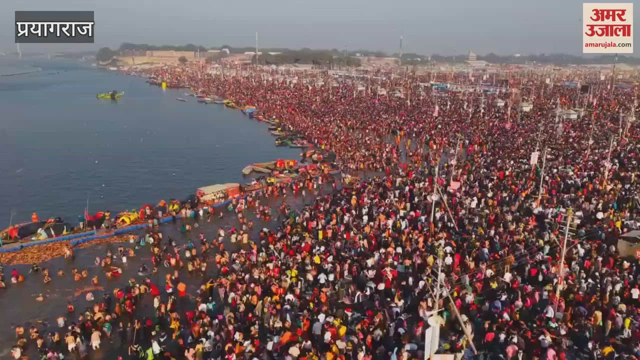 VIDEO : In just 29 days equal devotees have come to Mahakumbh than expected by government
