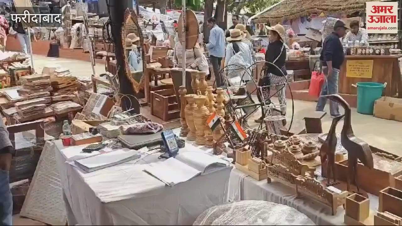 VIDEO : Stalls of goods made by prisoners were set up at Surajkund mela