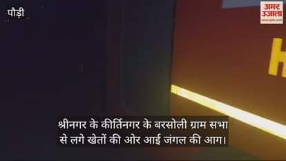 VIDEO : Forest fire reached the fields in Kirti Nagar, villagers demand action