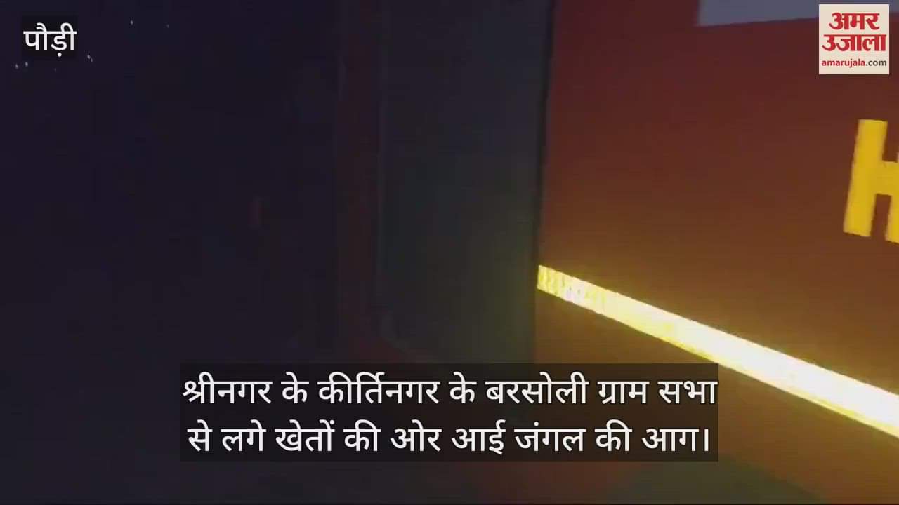 VIDEO : Forest fire reached the fields in Kirti Nagar, villagers demand action