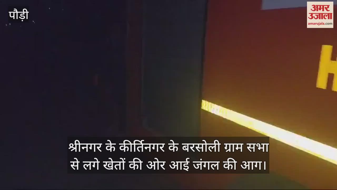 VIDEO : Forest fire reached the fields in Kirti Nagar, villagers demand action