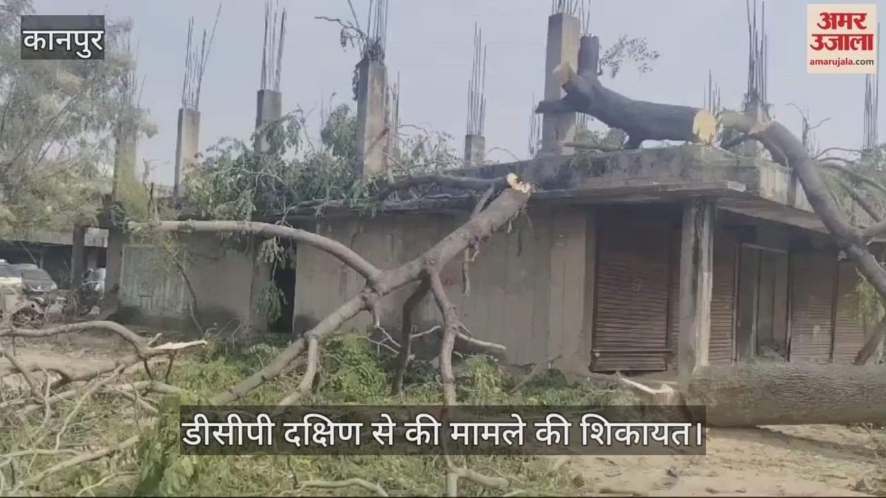 VIDEO : Councillors and local people create ruckus over cutting of green trees in Kanpur
